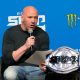 Dana White