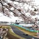 Lewis Hamilton Japanin GP:ssä Suzukan radalla